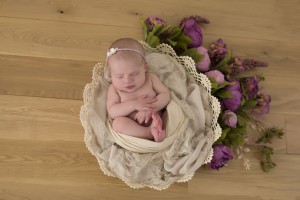 Baby Photo Shoot Bendigo