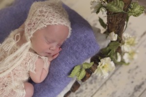 Baby Photo Shoot Bendigo