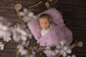 Baby Photo Shoot Bendigo