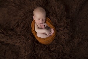 Baby Photo Shoot Bendigo