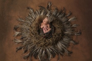 Newborn Photography in Bendigo