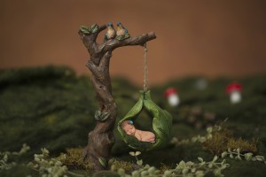 Newborn Photographer Bendigo