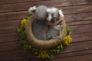 Newborn Portraits Bendigo