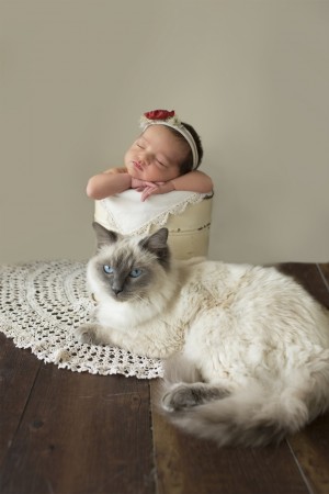 Newborn Portraits Bendigo