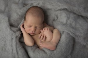 Newborn Portraits Bendigo