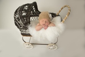 Newborn Portraits Bendigo