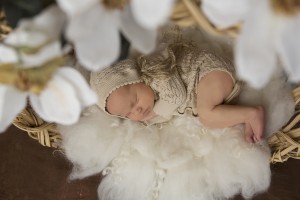 Baby Portraits Bendigo