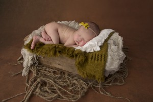 Newborn Photographer Bendigo