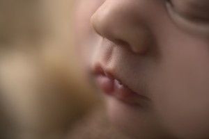 Newborn Photographer Bendigo