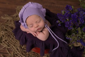 Newborn Photographer Bendigo