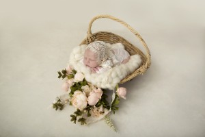 Newborn Photographer Bendigo