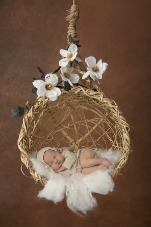 Newborn Specialised Photographer Bendigo
