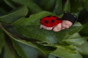 Birth Photographer Bendigo