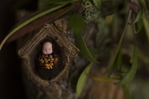 Birth Photographer Bendigo